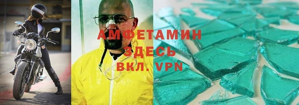 индика Краснослободск