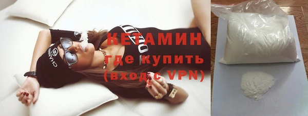 индика Краснослободск