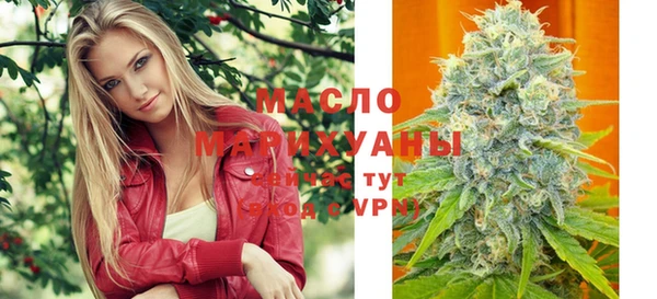 индика Краснослободск