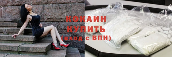 ПСИЛОЦИБИНОВЫЕ ГРИБЫ Корсаков