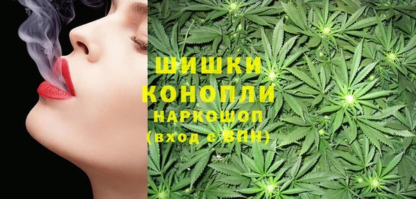 мдпв Козловка