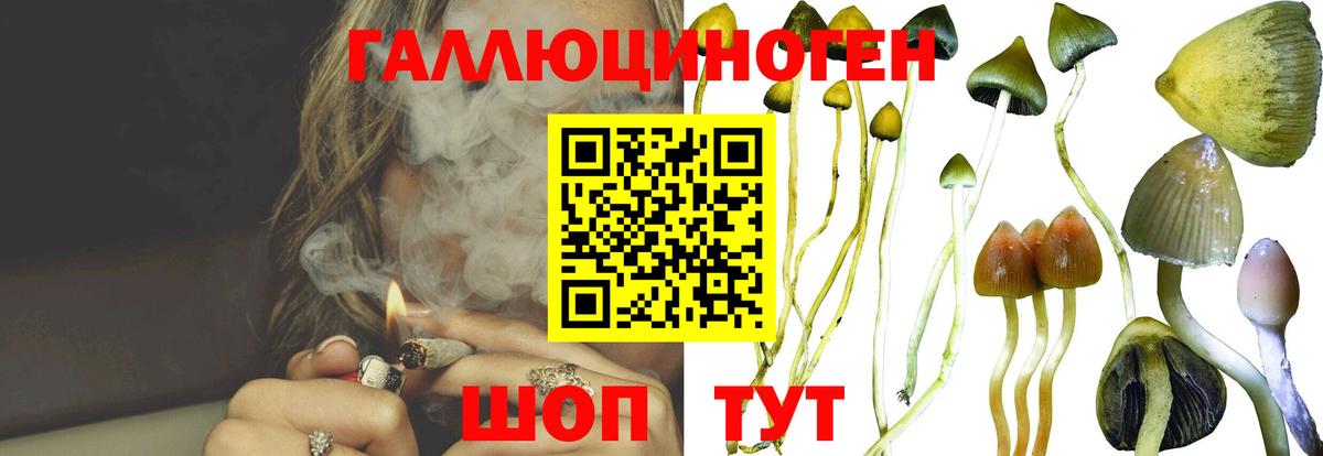 Галлюциногенные грибы GOLDEN TEACHER Красноуфимск